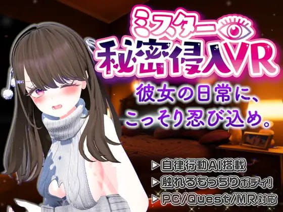 【VR】ミスター秘密侵入VR ―SNSの裏側、彼女の家に忍び込んだら、トイレもベッドも覗き見放題… ver1.0.1 - 日文原版