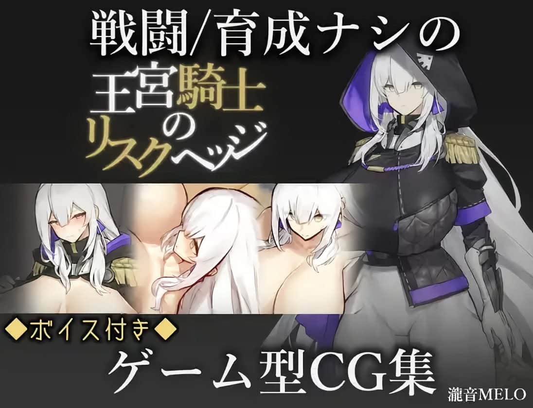 【电脑/RPG】王宮騎士のリスクヘッジ AI汉化版